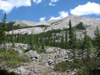 Beside the Bryant Creek Trail